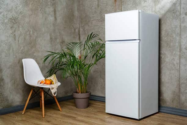 Best refrigerator for home