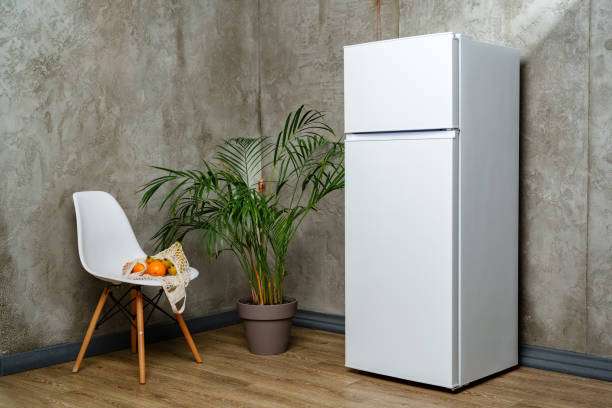 double door fridge