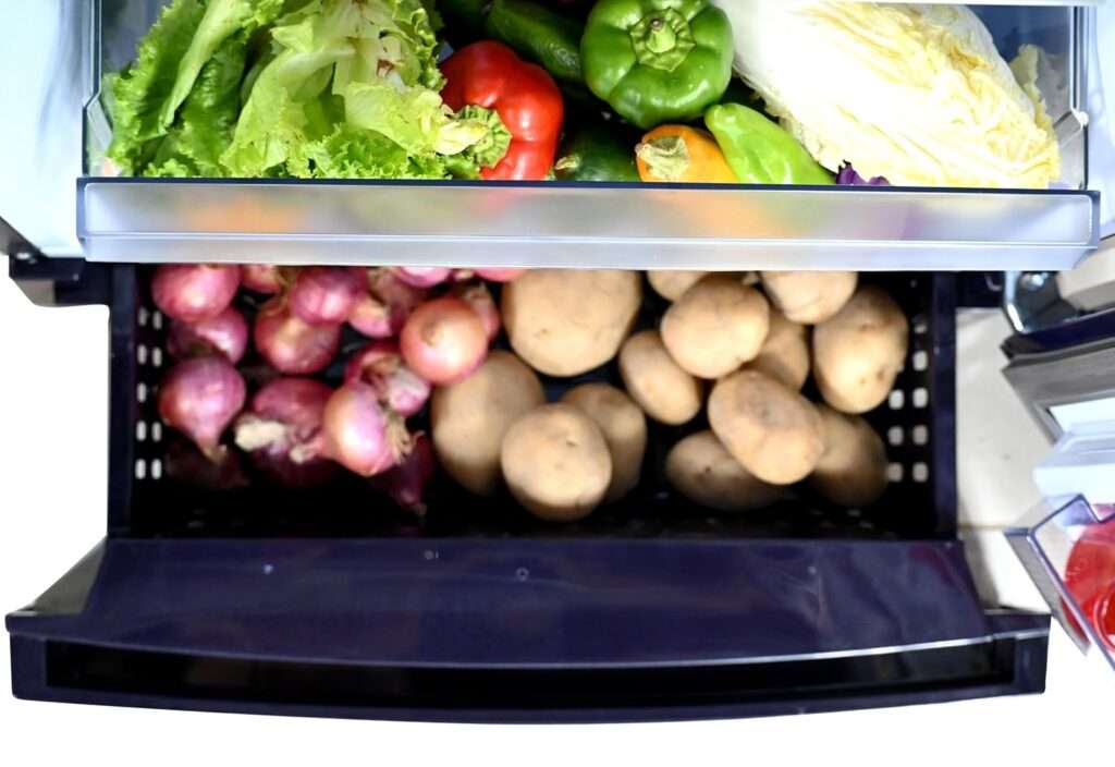 best single door fridge
